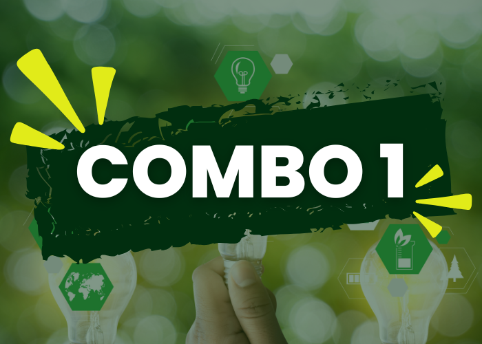 Combo 1 – Desenvolvimento Sustentável + Gestão Ambiental + Gestão Estratégica
